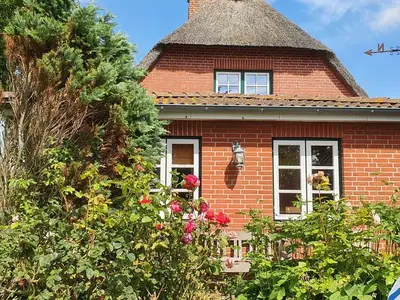 Ferienhaus für 5 Personen (90 m²) in Nordstrand 5/10