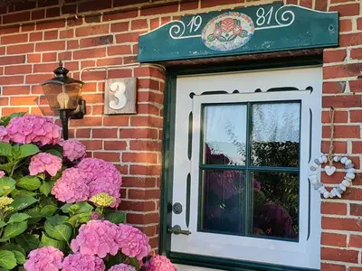 Ferienhaus für 5 Personen (90 m²) in Nordstrand 10/10
