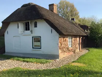 Ferienhaus für 5 Personen (55 m²) in Nordstrand 1/10