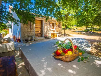 Ferienhaus für 2 Personen (40 m²) in Nova Vas 8/10