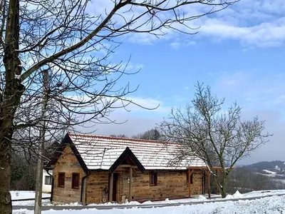Ferienhaus für 12 Personen in Novi Marof 8/10