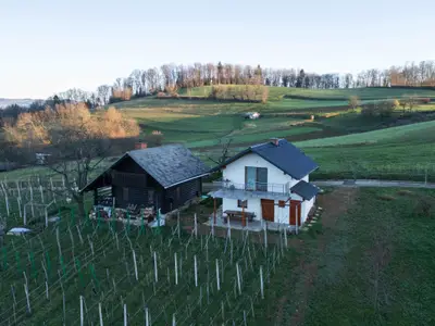 Ferienhaus für 3 Personen (38 m²) in Novo Mesto 2/10
