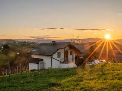 Ferienhaus für 3 Personen (38 m²) in Novo Mesto 3/10