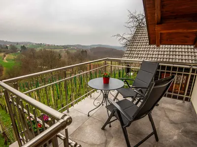 Ferienhaus für 3 Personen (38 m²) in Novo Mesto 1/10