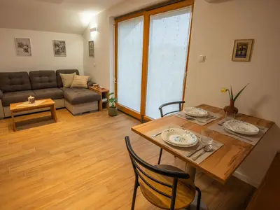 Ferienhaus für 3 Personen (38 m²) in Novo Mesto 7/10