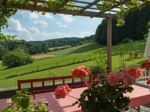 Ferienhaus für 3 Personen (48 m²) in Nußdorf Am Attersee