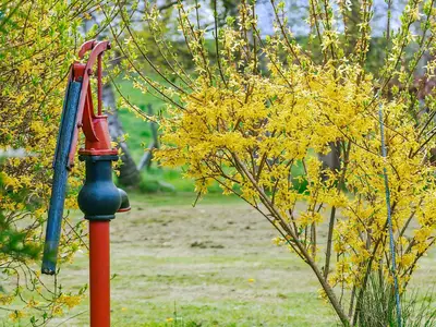 Outdoor