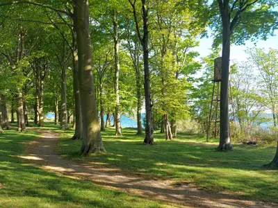 Outdoor