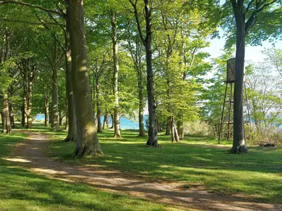 Outdoor