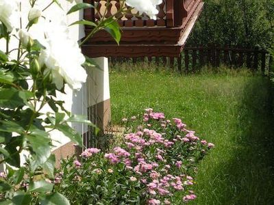 Garten. Blick vom Garten auf den Balkon