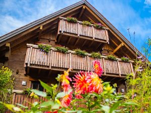 Ferienhaus für 2 Personen (23 m²) in Oberkirch