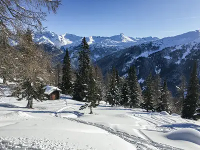 Obernberg-Skitour