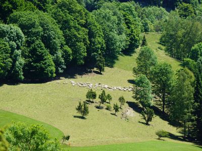 Albtrauf am Schafberg