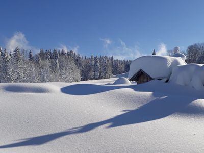 Ferienhaus für 50 Personen (520 m²) in Oberreute 7/10