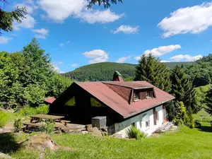 Ferienhaus für 5 Personen (60 m²) in Oberschönau