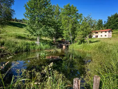 Ferienhaus für 8 Personen (160 m²) in Oberstaufen 2/10