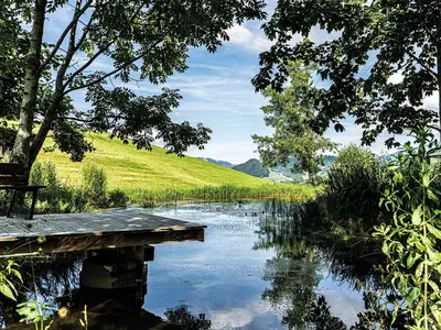 Ferienhaus für 8 Personen (160 m²) in Oberstaufen 4/10