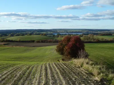 Ferienhaus für 6 Personen (140 m²) in Oberuckersee 9/10