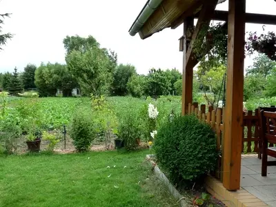 Ferienhaus für 5 Personen (20 m²) in Oberuckersee 3/10