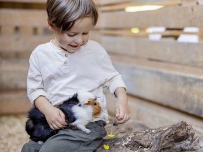 Kind mit Meerschweinchenauf dem Hof Hardthöhe