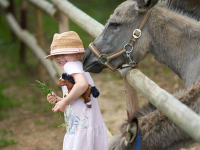 Mädchen mit Esel auf dem Hof Hardthöhe