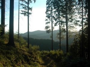 23349574-Ferienhaus-6-Oberwolfach-300x225-1