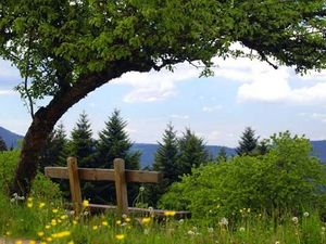 23349574-Ferienhaus-6-Oberwolfach-300x225-3