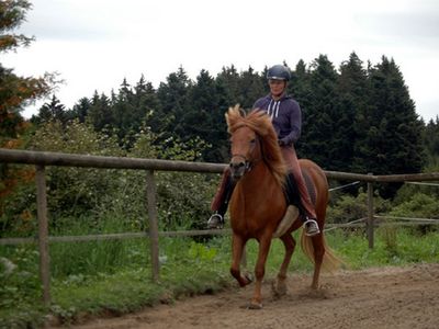 Reiten auf dem Hof