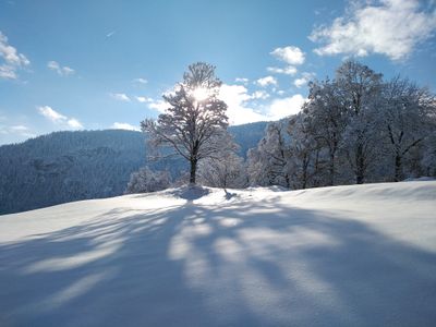 Schneeschuhwanderung Hinterwössen Hochfeld