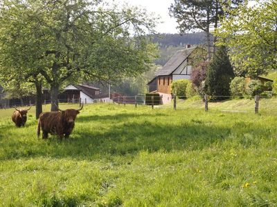 Ferienhaus für 4 Personen (110 m²) in Oberzent 4/10