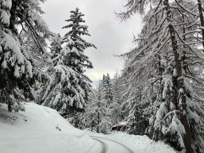 Anfahrtstraße im Winter