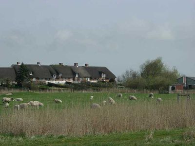 Ferienhaus für 8 Personen (140 m²) in Ockholm 8/10