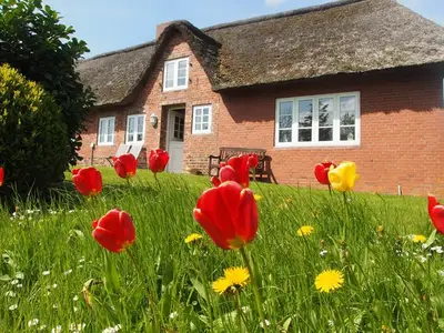 Ferienhaus für 8 Personen (140 m²) in Ockholm 2/10