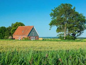 Ferienhaus für 6 Personen (75 m²) in Oederquart