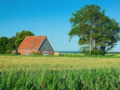 Ferienhaus für 6 Personen (75 m²) in Oederquart 1/10