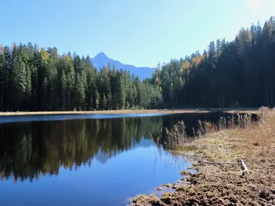 Amberger See