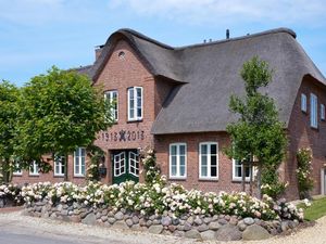 Ferienhaus für 8 Personen (260 m²) in Oevenum