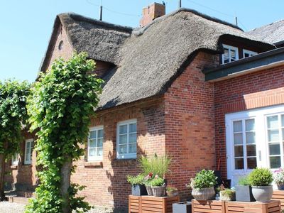 Ferienhaus für 6 Personen (69 m²) in Oevenum 1/10