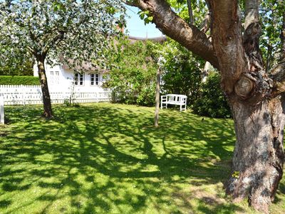 Ferienhaus für 6 Personen (95 m²) in Oevenum 7/10