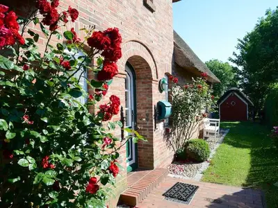 Ferienhaus für 4 Personen (85 m²) in Övenum 2/10
