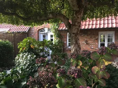 Ferienhaus für 4 Personen (90 m²) in Övenum 3/10