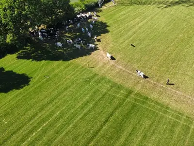Ferienhaus für 6 Personen (57 m²) in Oeversee 8/10