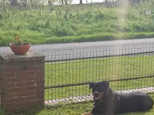 Ferienhaus für 4 Personen (90 m²) in Offenbüttel