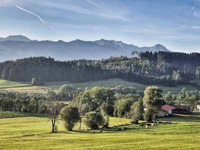 Ferienhaus für 8 Personen (168 m²) in Ofterschwang 5/10