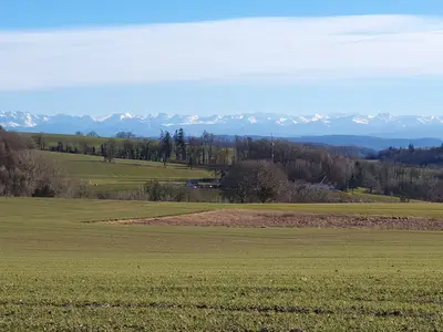 Wanderung im Ortsteil Schienen - Luftkurort - Im Hintergrund die Churfisten