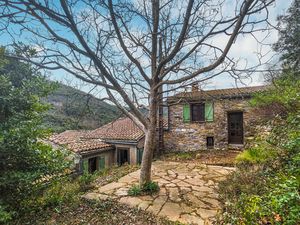 23760879-Ferienhaus-6-Olargues-300x225-4