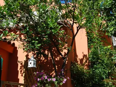 Bild 7