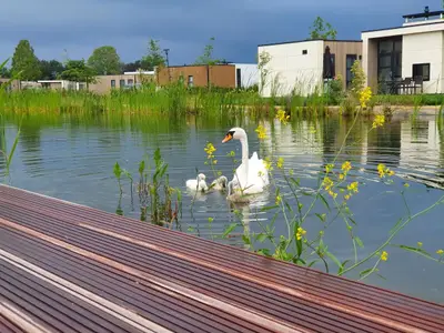 Ferienhaus für 4 Personen (70 m²) in Olburgen 9/10
