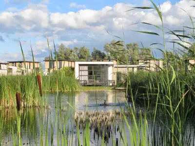 Ferienhaus für 4 Personen (70 m²) in Olburgen 8/10