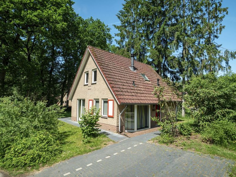 22157011-Ferienhaus-6-Oldebroek-800x600-2